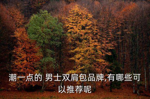 潮流時尚男士包品牌,包店名字大全潮流時尚...